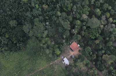 Día de los bosques, finca en el Amazonas - Solidaridad