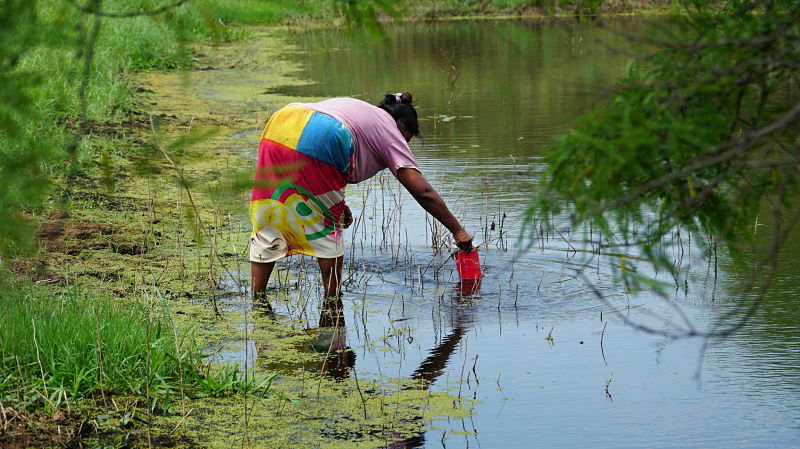 Día del Agua, Chaco Sutentable, viejo tajamar de counidad indígenas - Solidaridad