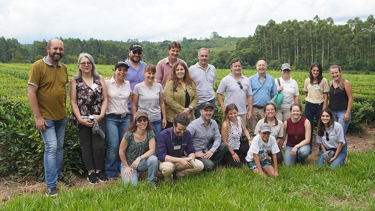 Solidaridad, S&D, McDonald's, Valmitran visitan finca de té sostenible en Misiones, Argentina