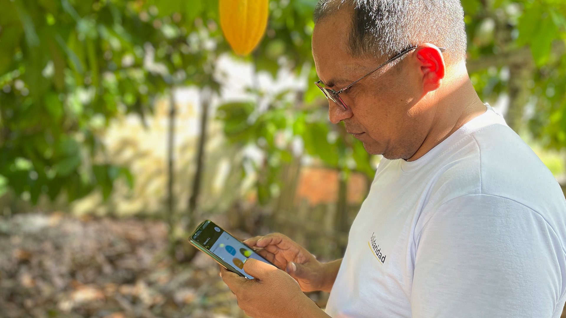 soluções digitais para sistemas agroecológicos na Amazônia