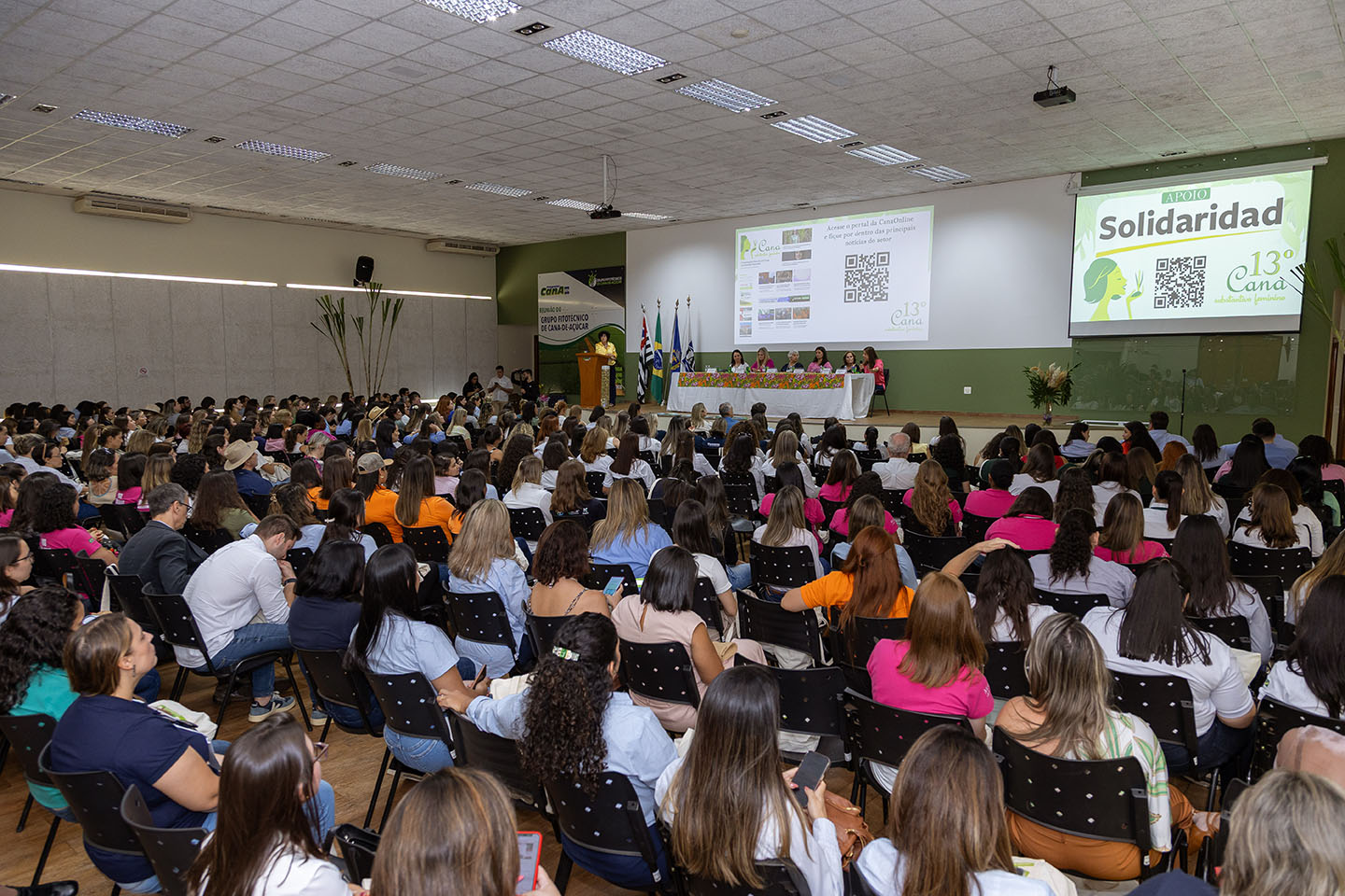 13o Cana Substantivo_01169 (1)