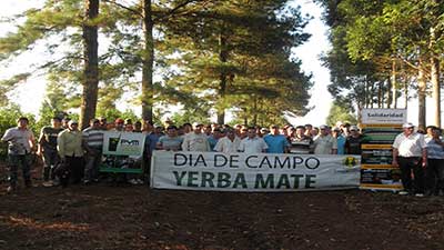 Yerba Mate sustentable en Paraguay, Solidaridad