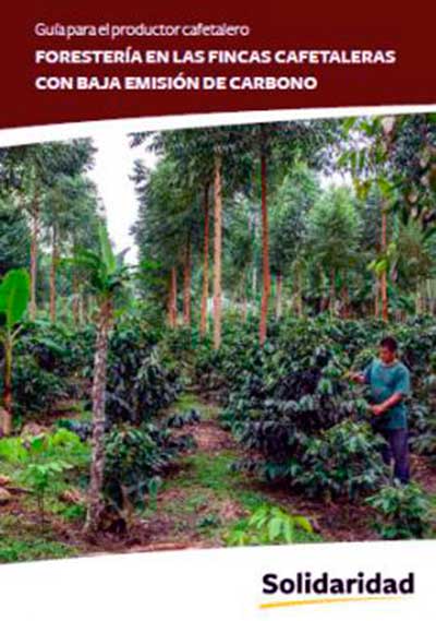 forestería perú café caficultura