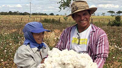 algodón brasil productores