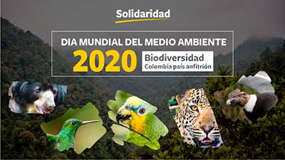 día mundial del medio ambiente colombia 2020