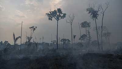 incendios amazonas deforestación