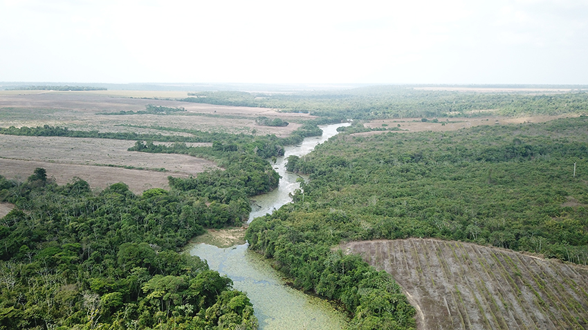 Amazonia brasilera, río con cobertura de bosques - Solidaridad