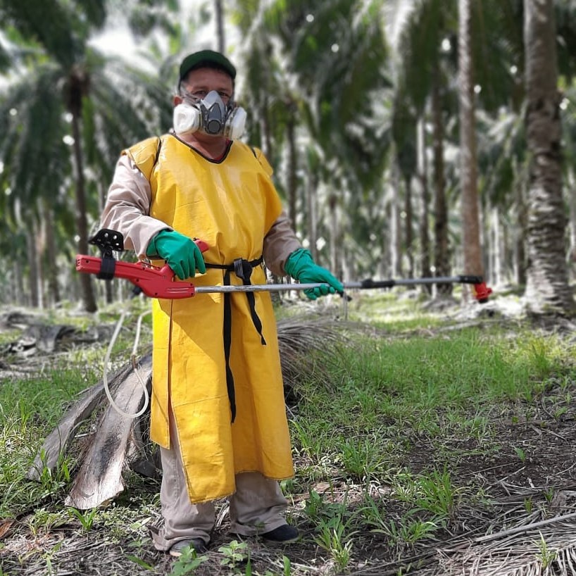 aplicación herbicida palma