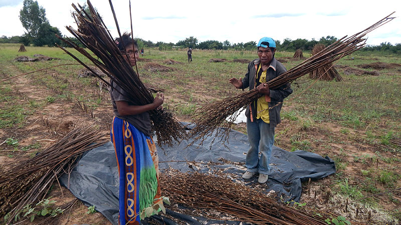 chaco paraguay comunidades indígenas