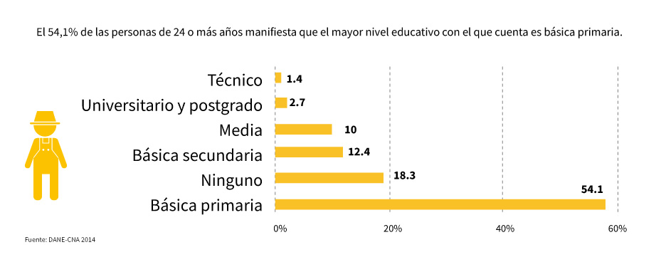 gráfico nivel educativo colombia