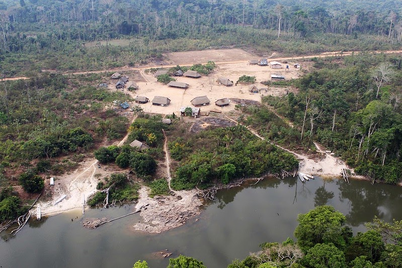 pará brasil amazonas deforestación ilegal