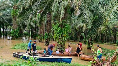 rescate honduras palma huracán