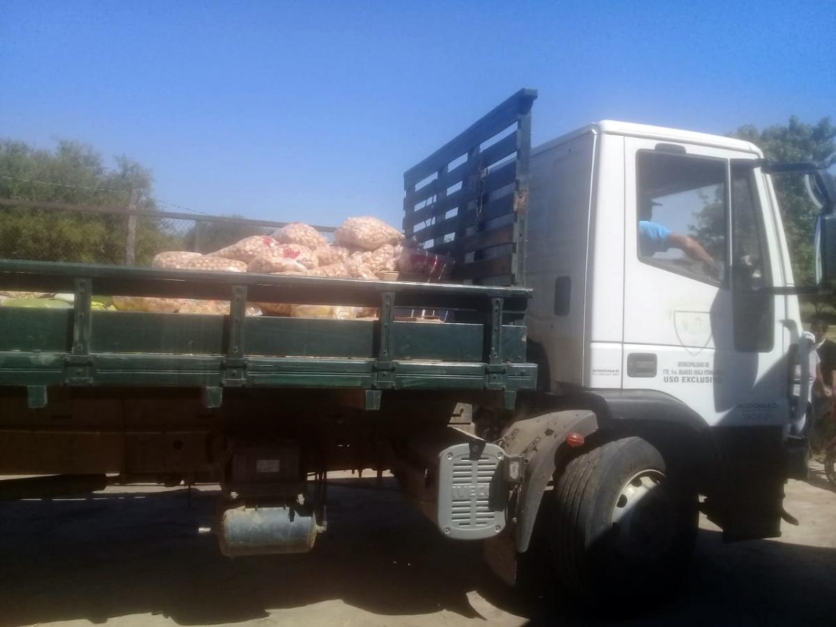 camión transporte alimentos