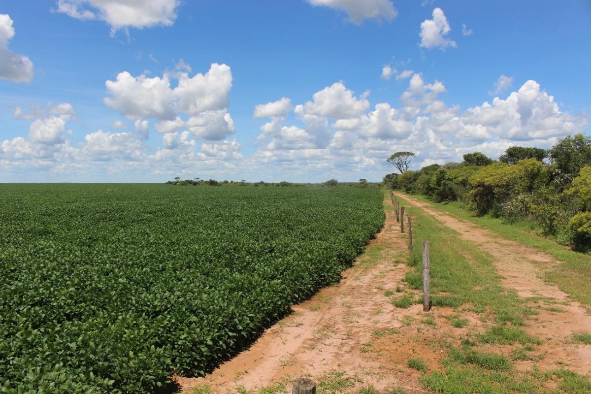 agricultura sostenible en el Cerrado brasileño, Solidaridad