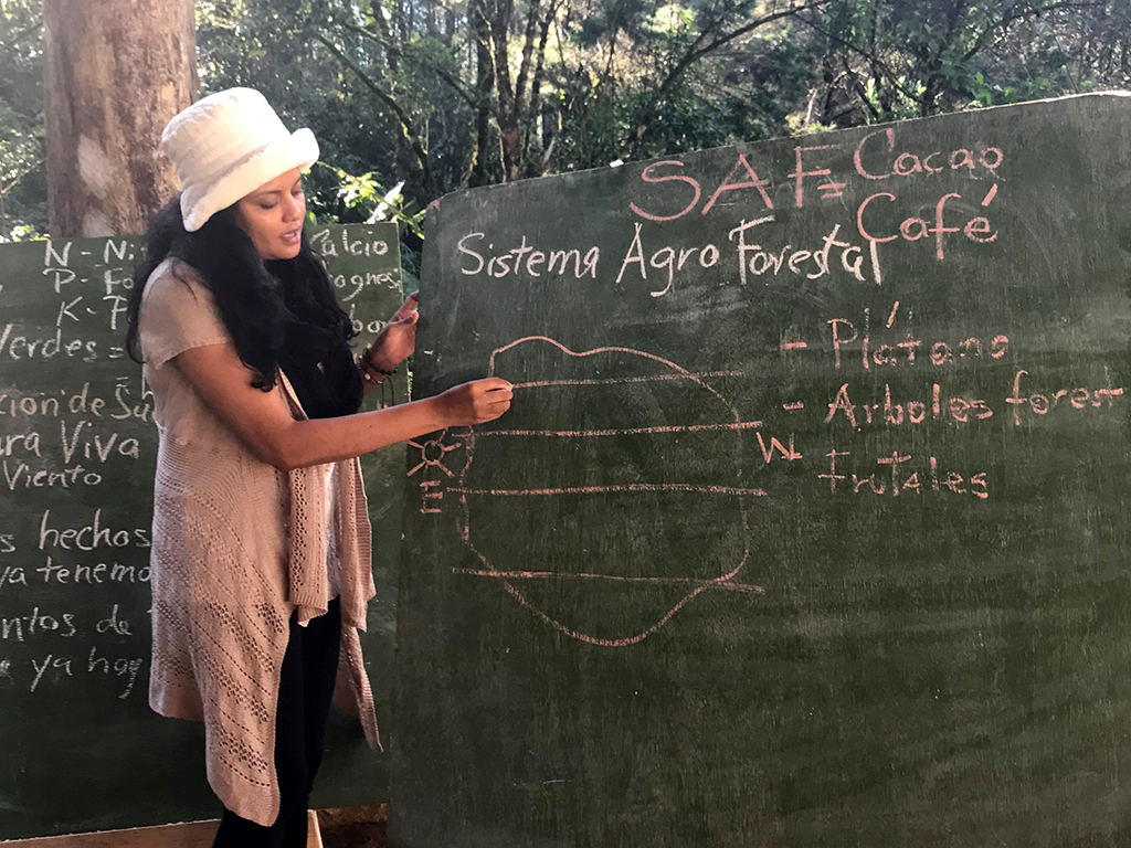 sistema agro forestal solidaridad capacitación walc guatemala