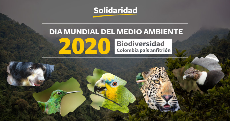 colombia día mundial del medio ambiente 2020 biodiversidad