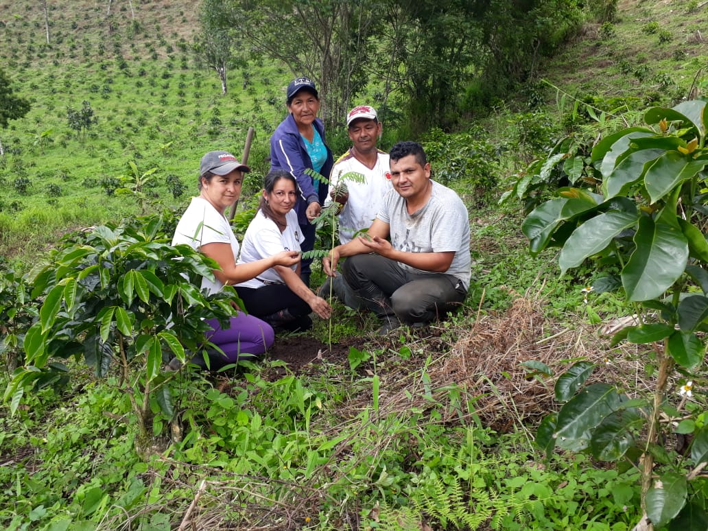 productores café colombia finca sierra cauca