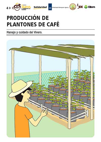 café producción plantones vivero