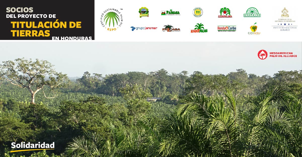 Gráfica que muestra los socios del proyecto de titulación de tierras en Honduras: entre ellos - Grupo Jaremar, PALCASA, HONDUPALMA, HonduCaribe, COINSU, ASAPALSA, COAPALMA, Cooperativa Salamá, PALMASA y ACEYDESA.