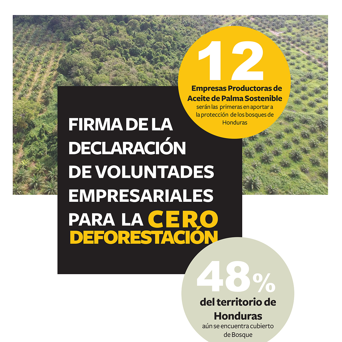 acuerdo-voluntario-cero-deforestacion-honduras