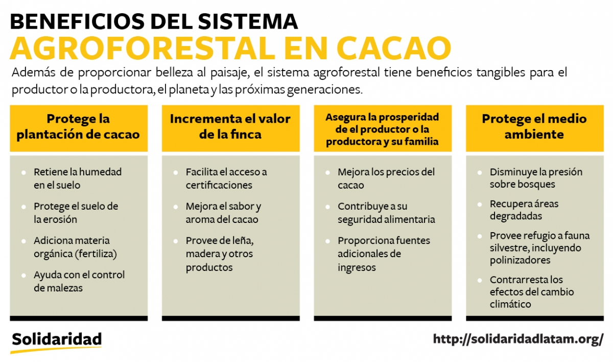 beneficios-sistema-agroforestal-cacao