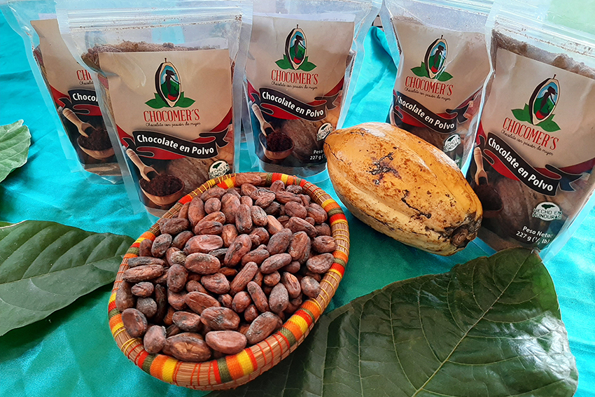 cacao artesanal chocomers