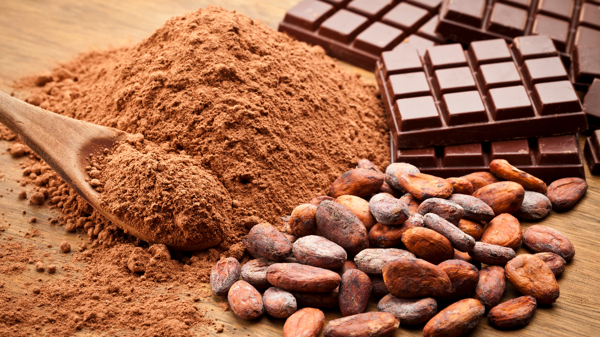 chocolate cacao materia prima tabletas granos polvo