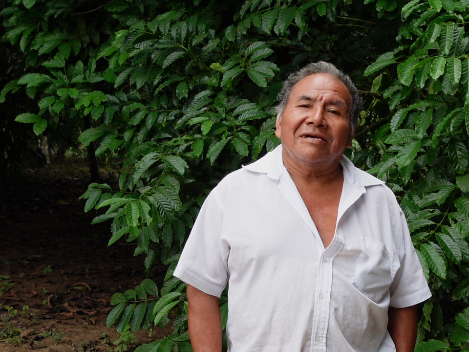 Cristóbal Choc, uno de 105 productores de Ixcán que ahora protege los recursos naturales al tiempo que produce palma de aceite.