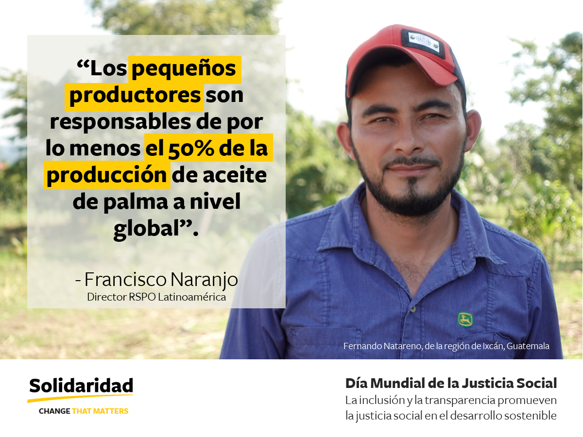 Los pequeños productores son responsables de por lo menos el 50% de la producción de aceite de palma a nivel global. - Francisco Naranjo, Director RSPO Latinoamérica En la foto aparece Fernando Natareno, de la región de Ixcán, Guatemala