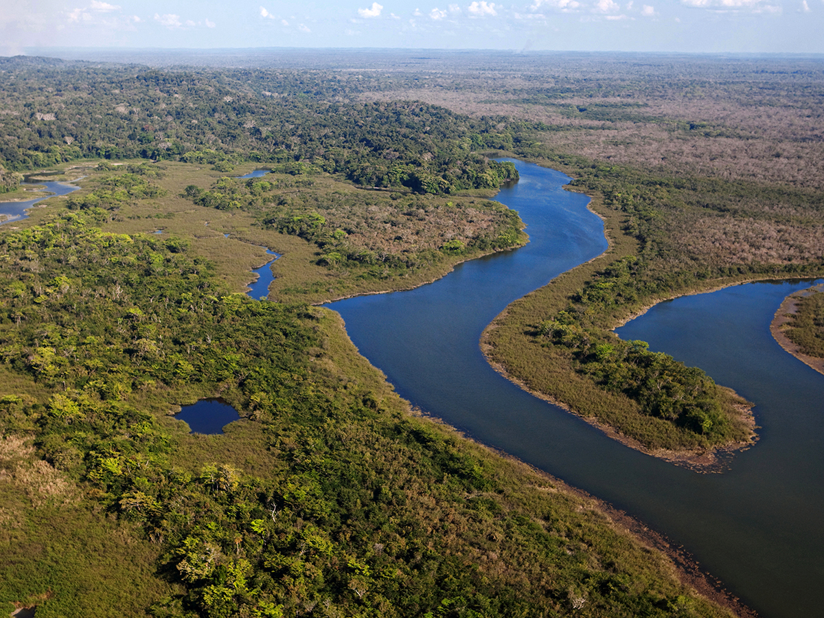 Foto por RMcNab, cortesía de World Conservation Society, una vista aérea de un humedal del Parque Nacional Laguna del Tigre.