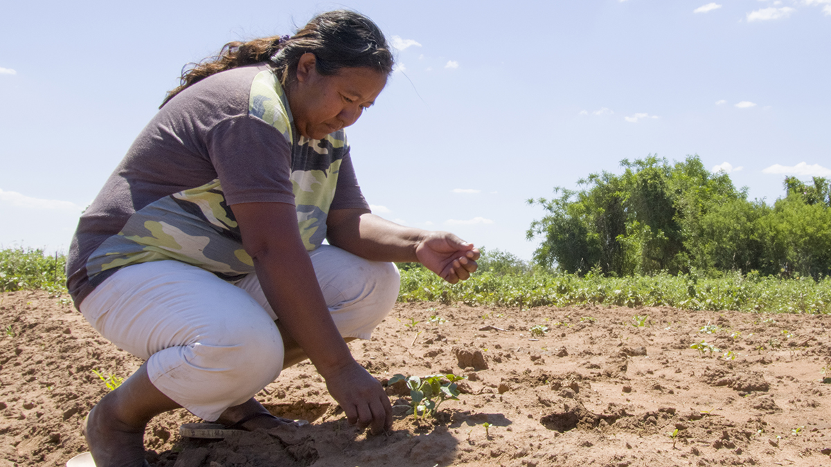 Mujer indígena sembrando. Solidaridad