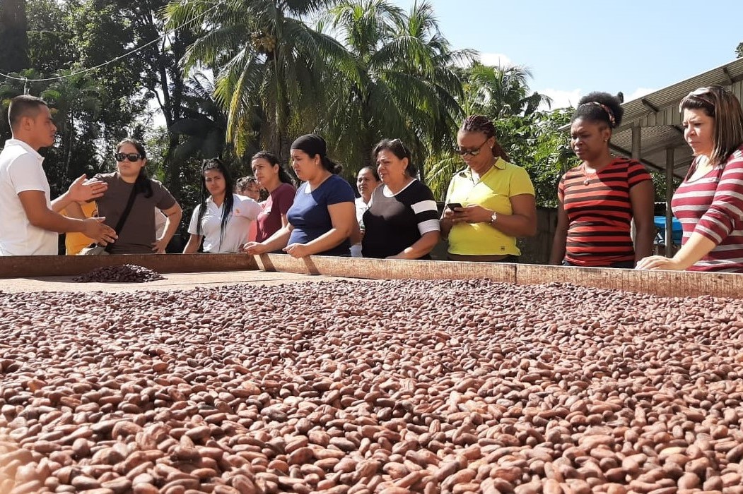 cacao artesanal honduras