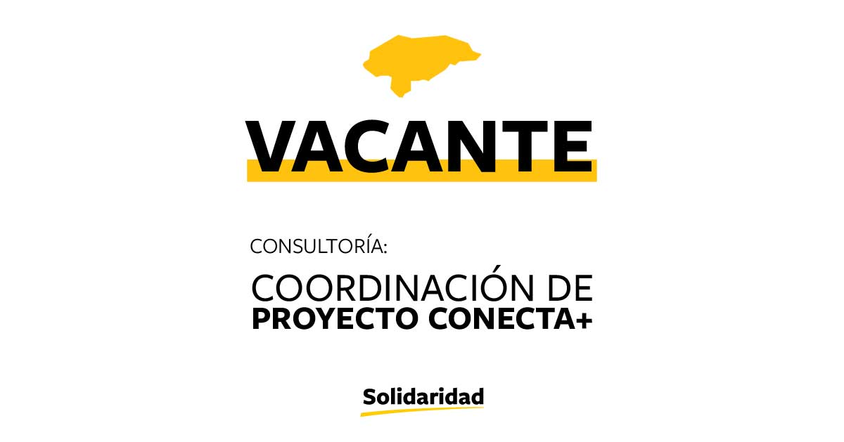 Buscamos consultor para coordinar el Proyecto Conecta+ en Honduras.