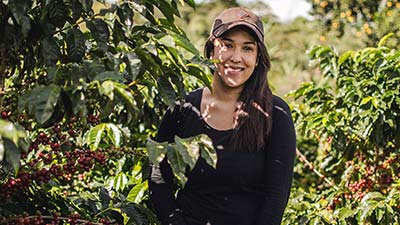 En Honduras, miles de familias dependen de ingresos relacionados a la producción del café.