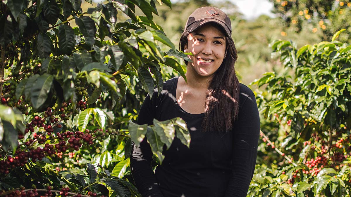 Es importante estudiar las dinámicas laborales en café de El Salvador y Honduras y los demás países de Centroamérica, pues miles de familias dependen de ingresos relacionados a la producción del café.