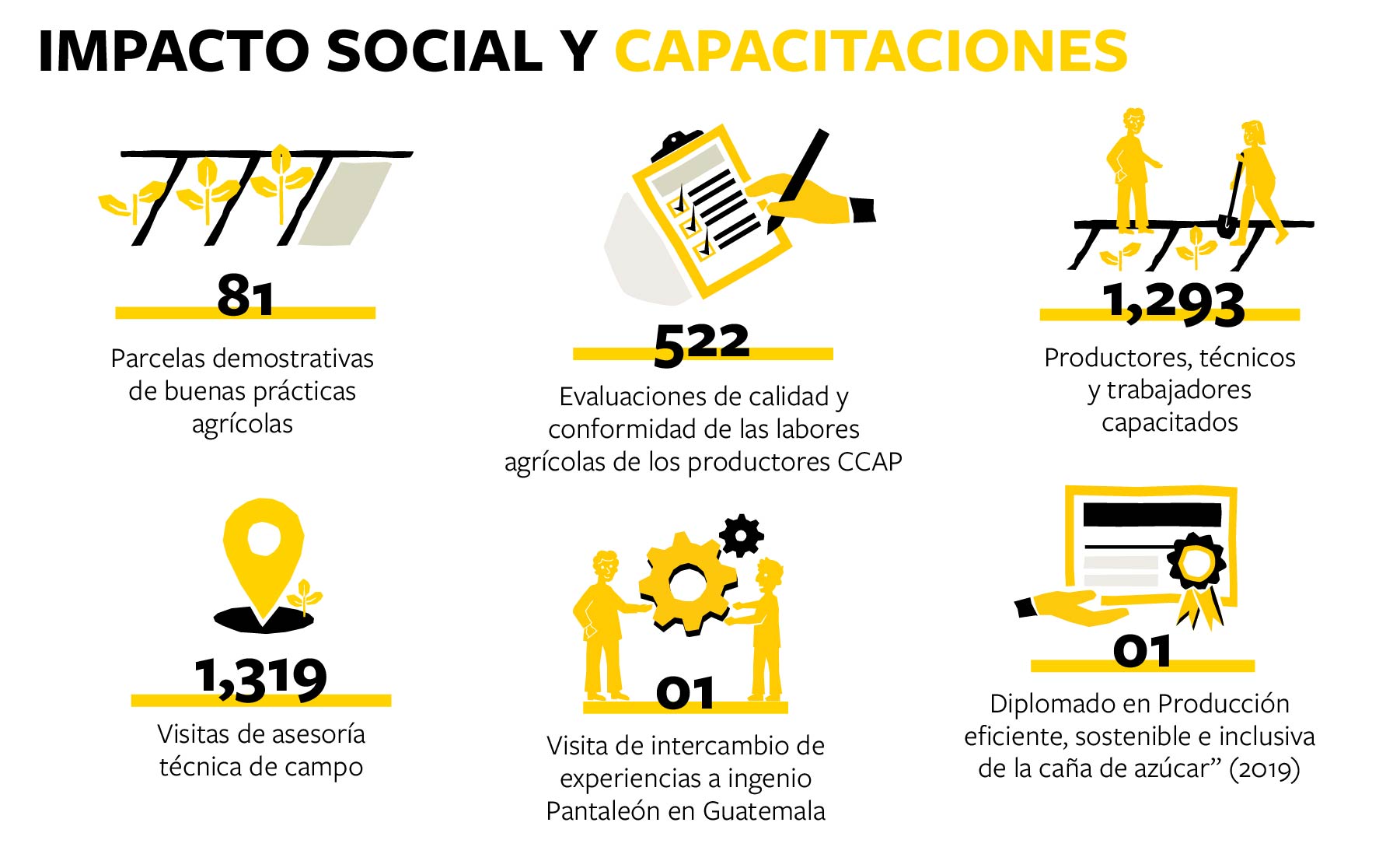 Gráfico mostrando el impacto social y capacitaciones del piloto del programa MAS-CAÑA.