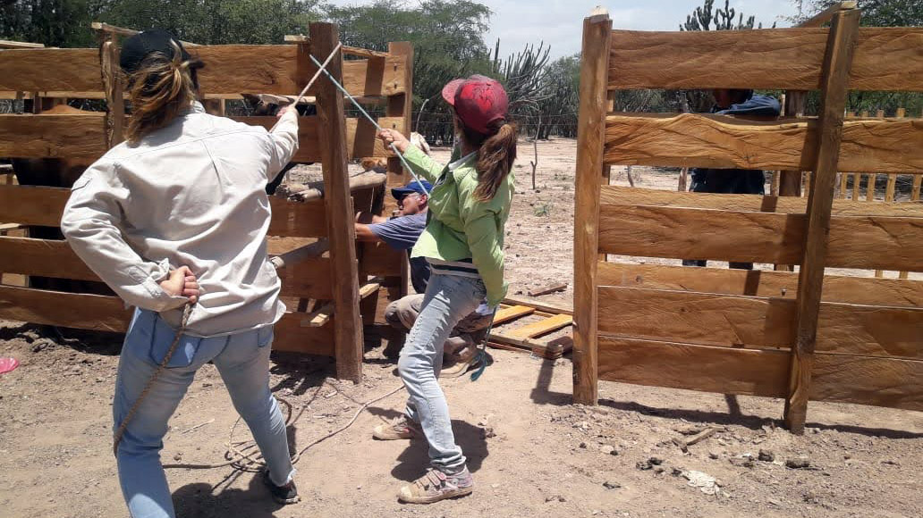 Mujeres ganaderas del Chaco salteño. Solidaridad