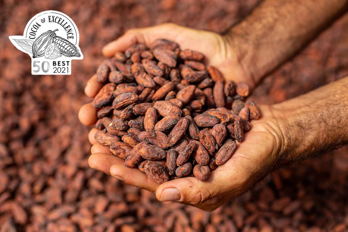 Premios para el cacao de Tuerê, Solidaridad