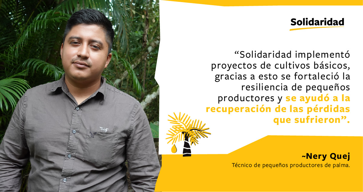 Nery-Quej-Técnico-Solidaridad-Palmicultor-Productor-palma-Sostenibilidad-Huracan-resiliencia-Guatemala