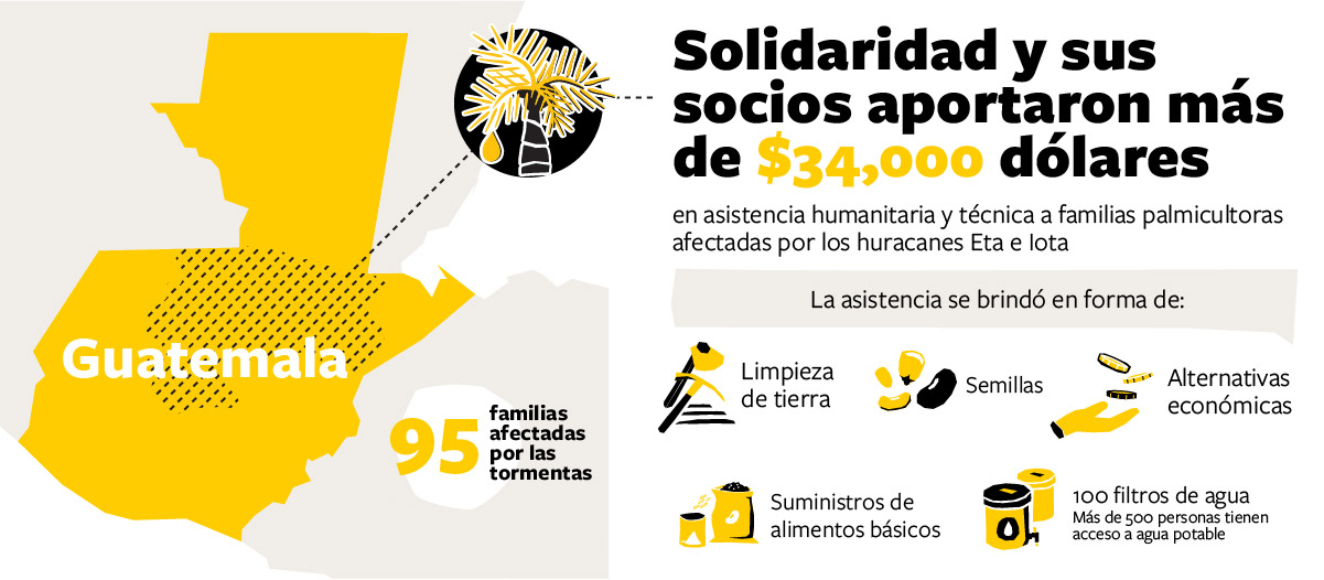 Solidaridad-socios-Asistencia-Guatemala-Huaracan-Eta-Iota-semilas-suministros-Sostenible-Productores-palma-Familias