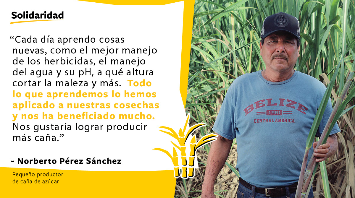 Solidaridad-Norberto-Pérez-Sánchez-MAS-CAÑA-Productor-Caña-Azúcar-Cita-Capacitaciones
