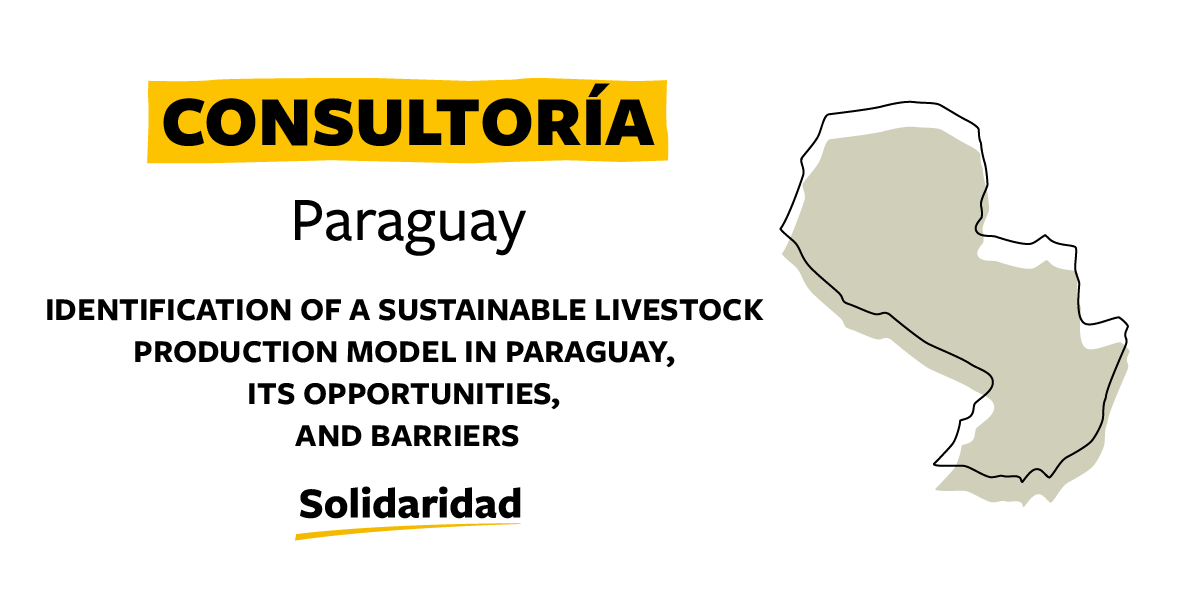 Consultoria Paraguay. Solidaridad