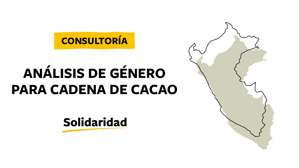 Consultoria Perú, desarrollo de análisis de género para cadena de cacao