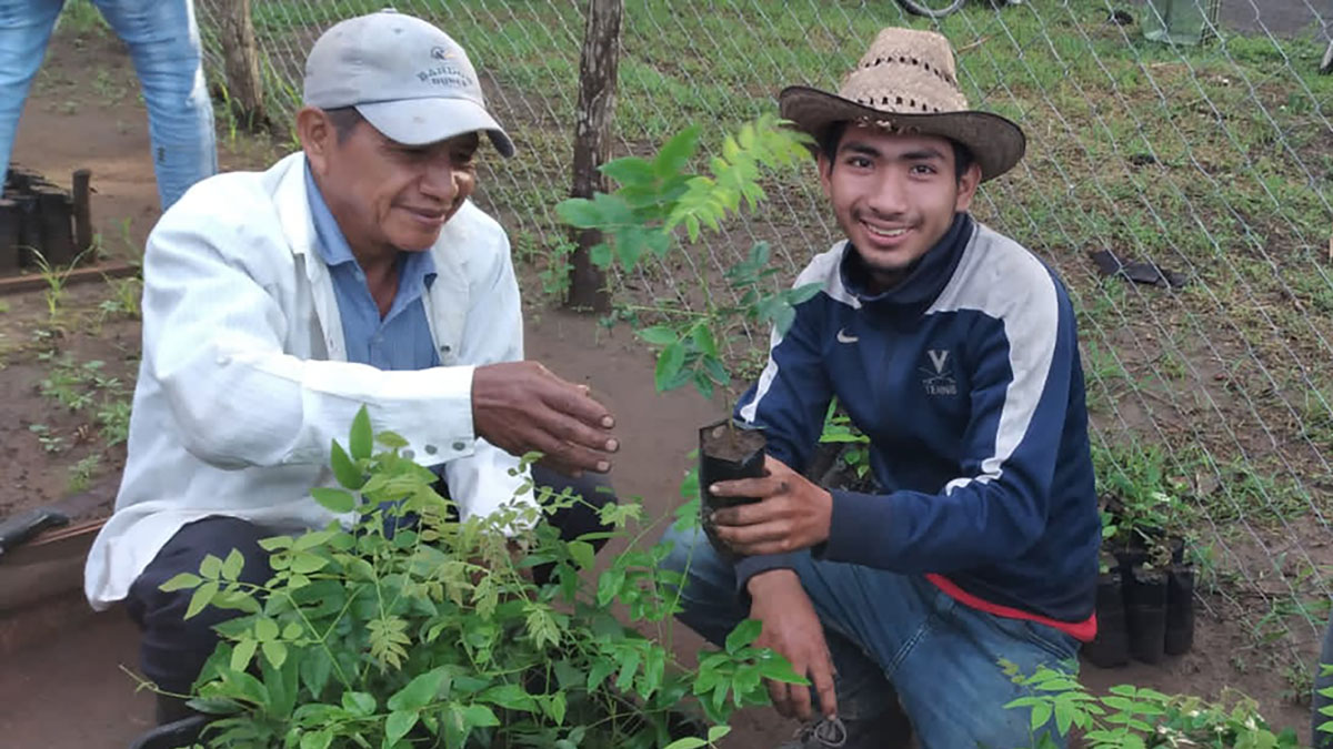 Solidaridad-Guatemala-Vivero-Manglar-Comunidad-Resiliencia-Sostenibilidad