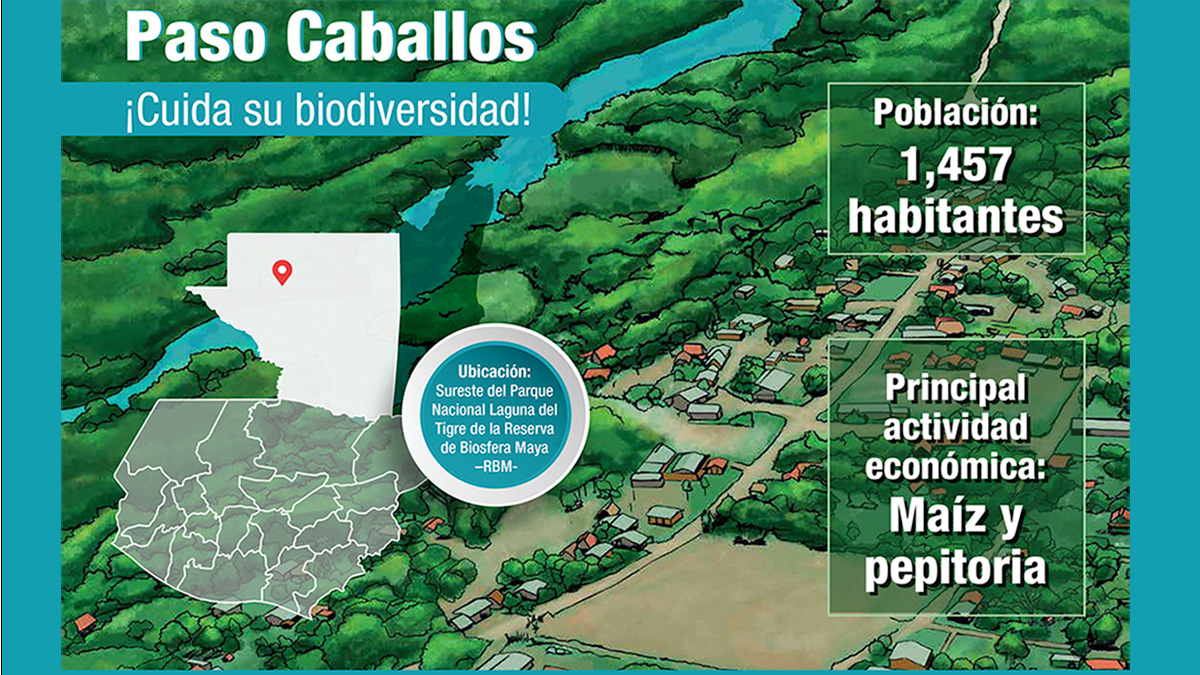 Solidaridad-Infografía-Paso-Caballos-Guatemala-WCS-Solidaridad