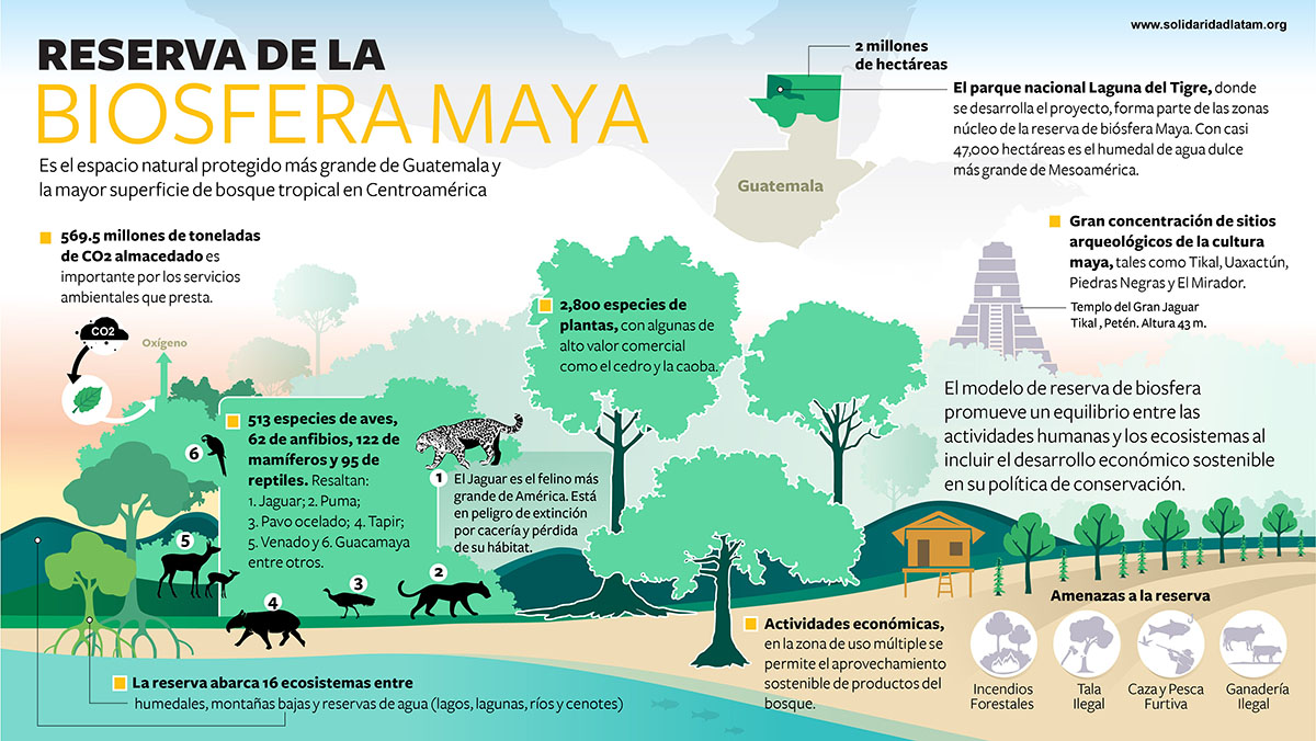Solidaridad-infografia-guatemala-reserva-biosfera-palma-compensacion-biodiversidad.j