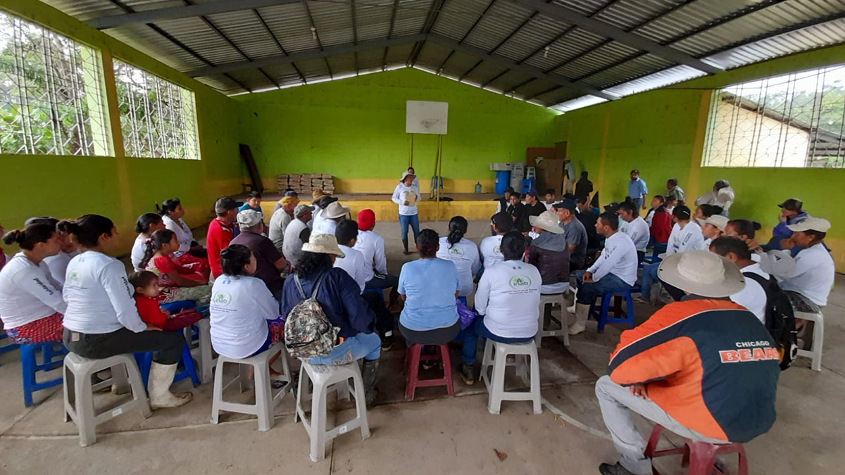 Solidridad-Guatemala-Manglar-Comunidad-Sensibilización-31-Julio-conservación
