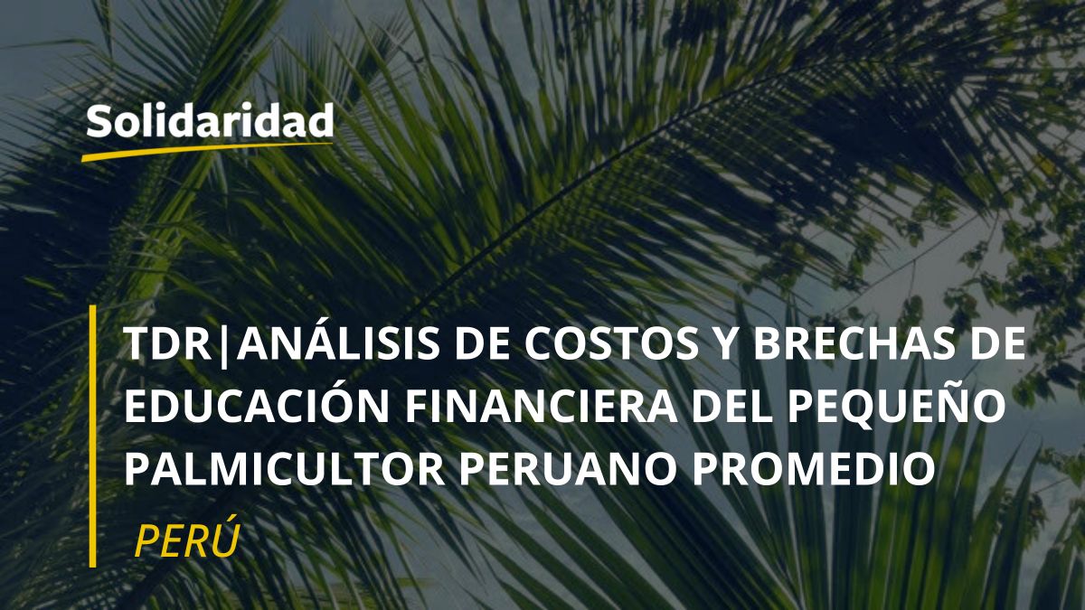 Análisis de costos y brechas de educación financiera del pequeño palmicultor peruano promedio