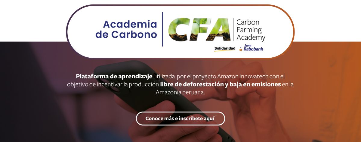 academia de carbono