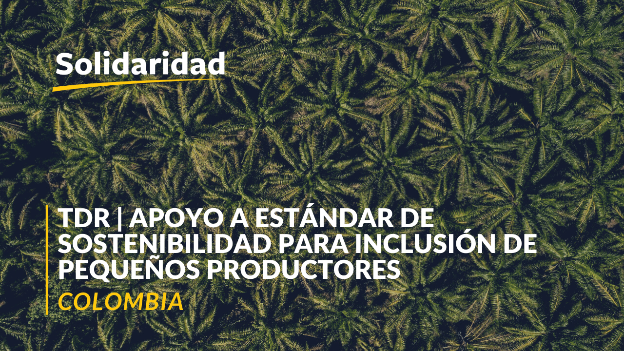 ESTAMOS EN LA BÚSQUEDA DE UN GERENTE DE CACAO Y CARBONO (1) (1)